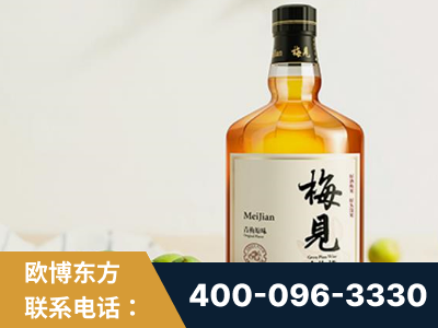 怀化-梅见青梅酒